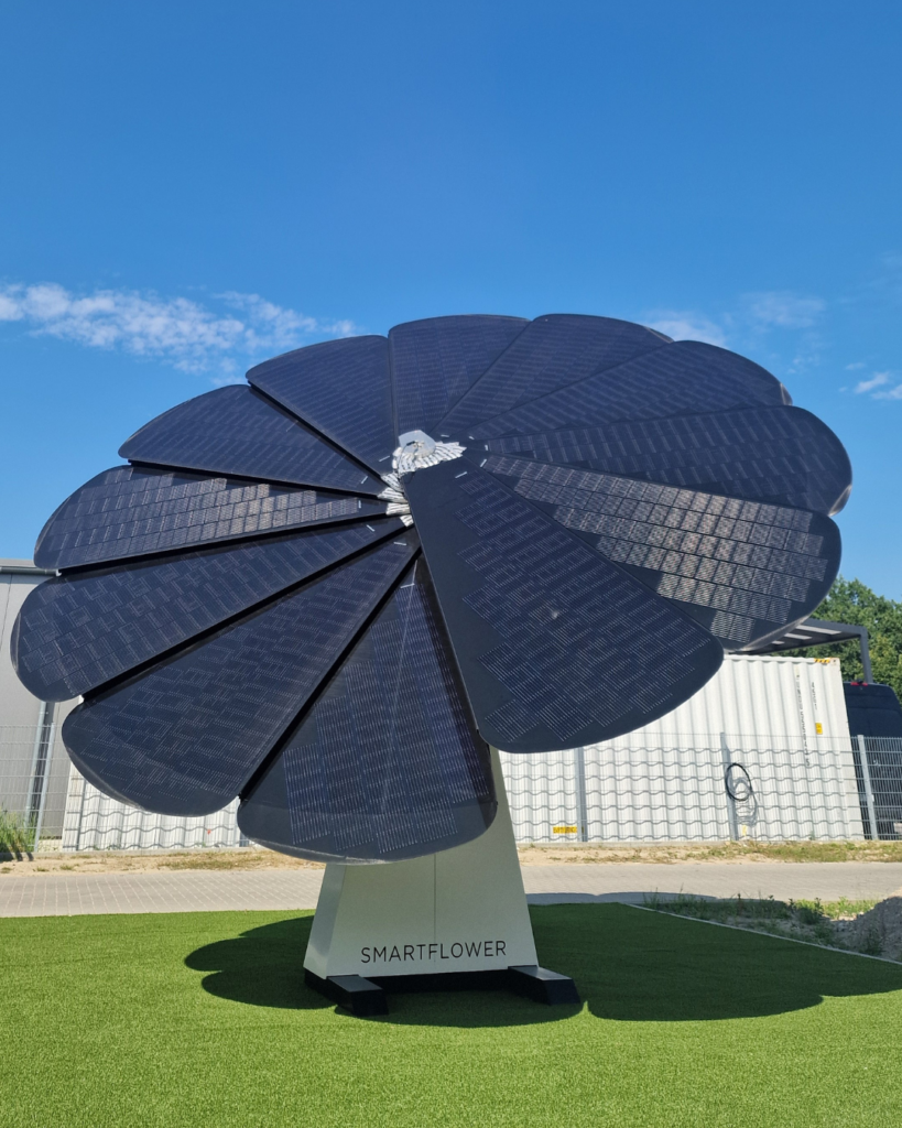 Solarblume Mallorca